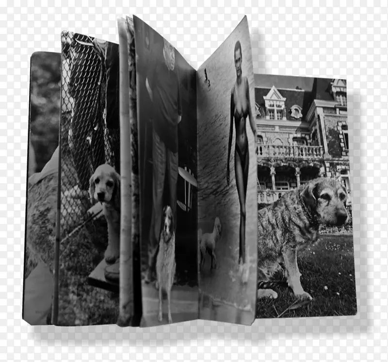 �ױ���-������