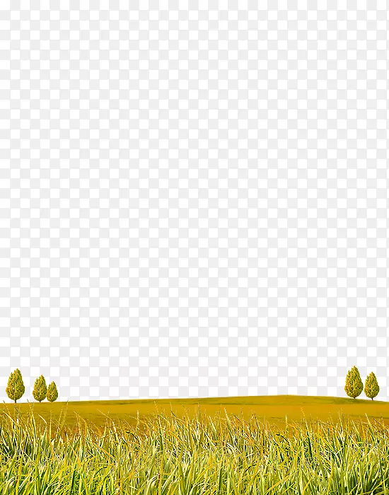 ��ƺ����-�����������-������