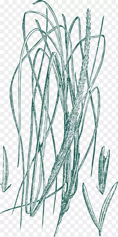 ����rgb��ɫģ��.�ֻ�����Ʒ��-������