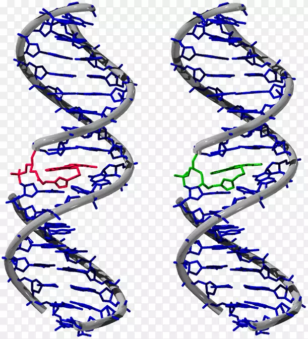 �����л���-������-������