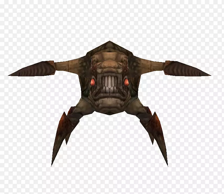 ʮ�������ж���-������