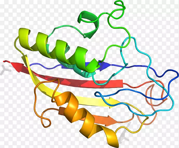 �ߵ������������-������