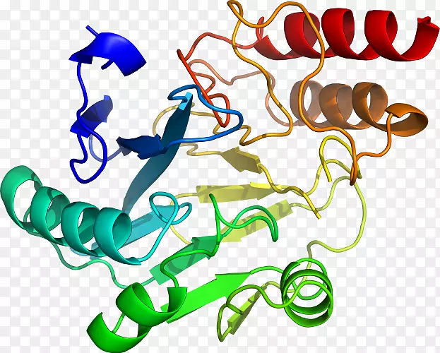 �ߵ������������-������