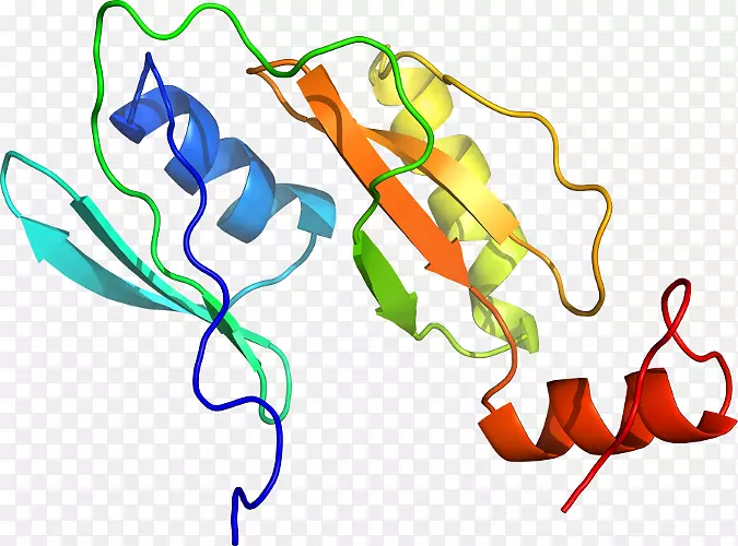 �ߵ������������-������