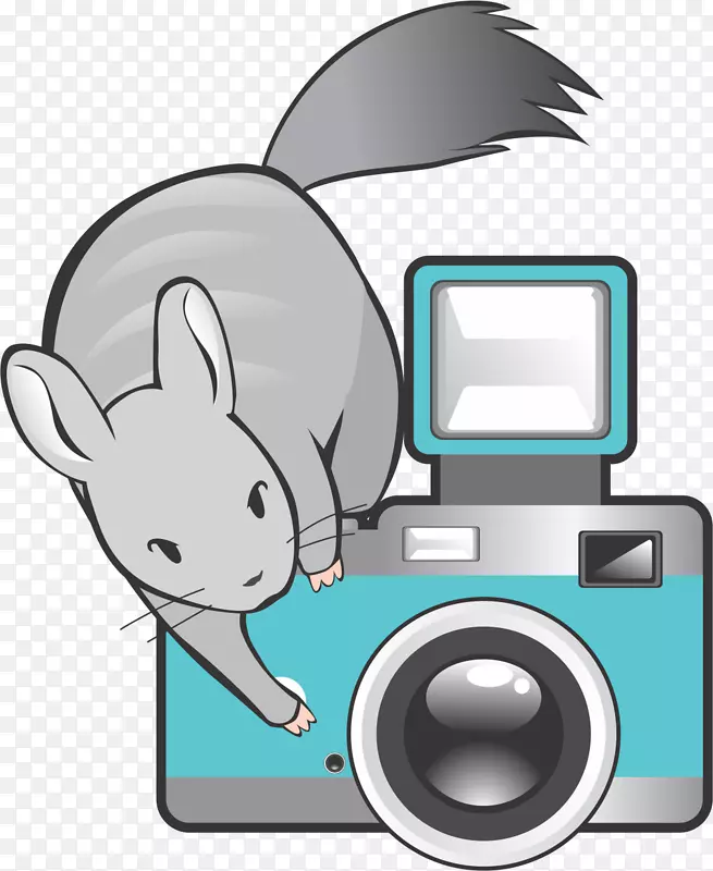 ����Ȧ��Ӱ������2-�ĽǺ���-������