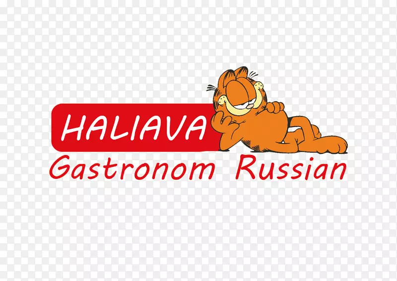 �̱�����-����-������