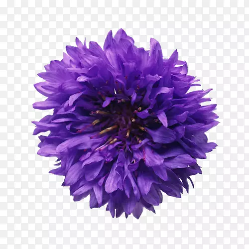 ����ݧ�է�ۧҧ�ԧѧ����׻�ֲ��ɽ����-������