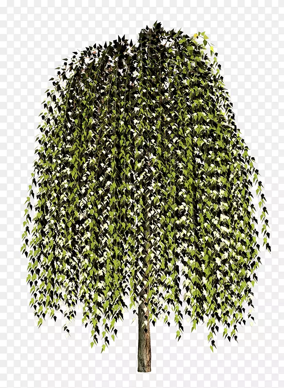 ��-��-������