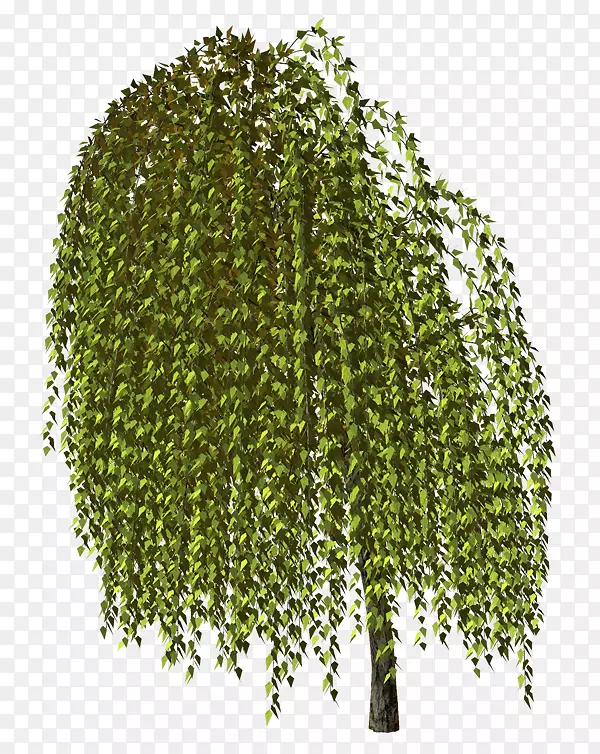 ��-��-������