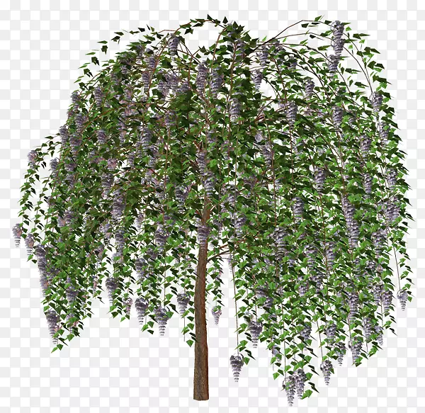 ��-��-������