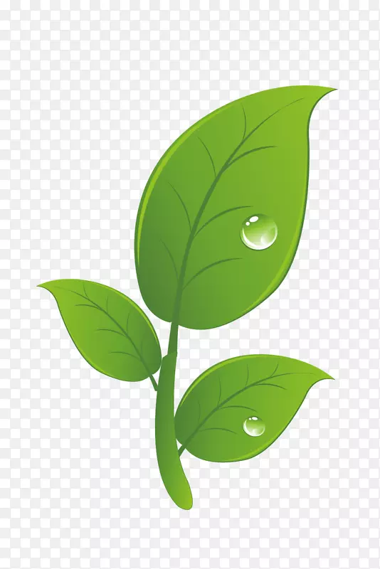 �ڰ�׿������-���ʰײ��������-������