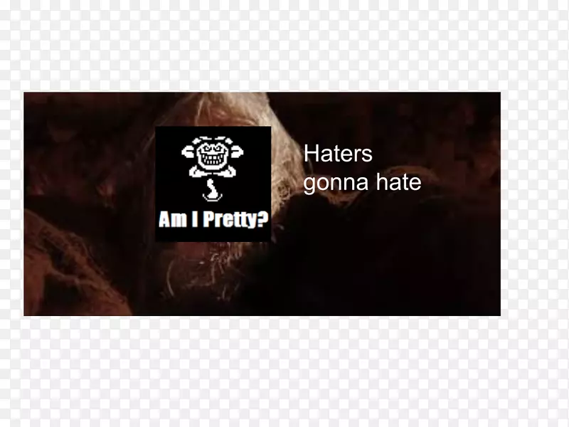 Ʒ�Ʊ�־����-������-������