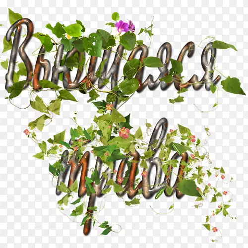 ���Ͳݱ�ֲ���ռǼ�������-jpeg-������