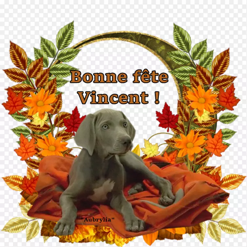 ����С������-С��-������