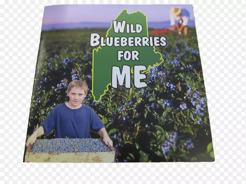 ���ȸ���Ϸ��-������