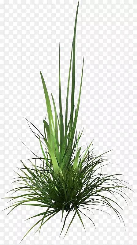 ��Ⱦ������-����-������