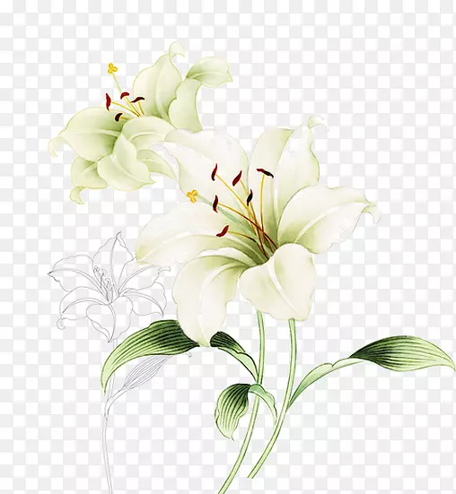 �л���ƻ���-������