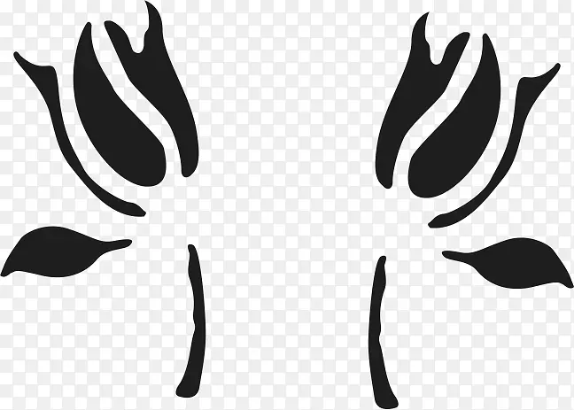 �Գ�ͼ��-������Ӱͼ���Գ�ƽ��ͼ-������