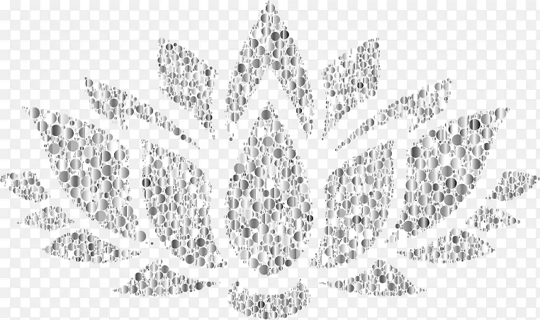 Nelumbo nucifera�����ɻ�������-������