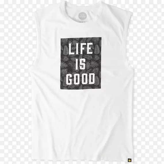 T����������ƽ��˶����˶���-������