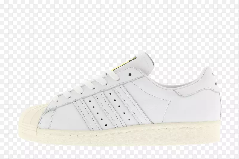 �˶�Ь����ѵ�����-������