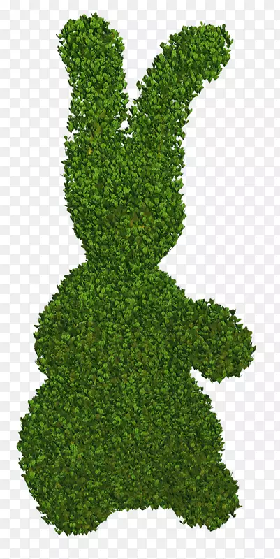 ��ľҶ����-������