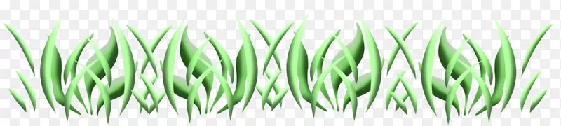 �����ֲ�ﲩ��-����ڿ��ִ���-������