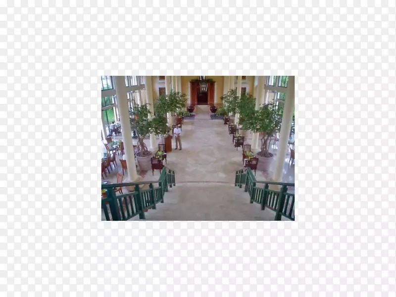 �Ʋ����ߵ���-������