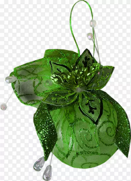 ʥ��װ��ֲ��-ʥ����-������