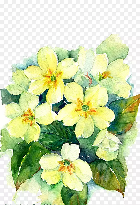 �������ˮ�ʻ�ˮ�ʣ�ˮ�ʻ�-������