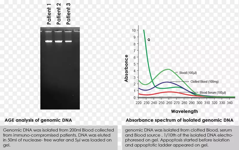 ����Ԫ����Ʒ�����-������
