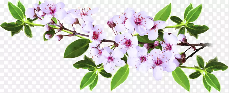 ��ľ������-������