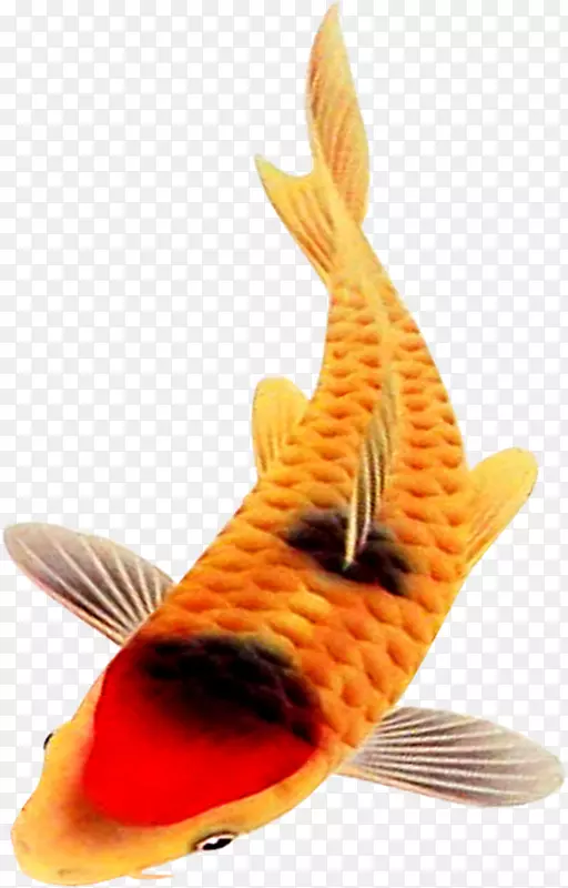 ��-��-������