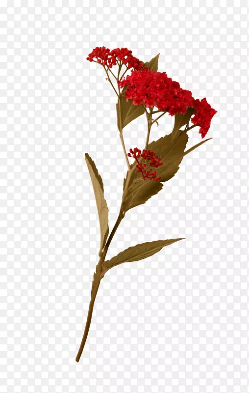 �л�������ƻ���-����-������