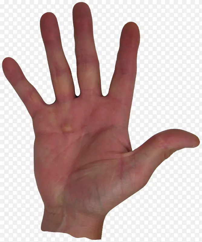 Ĵָ��ģ��ָ������������Ϣ����-������