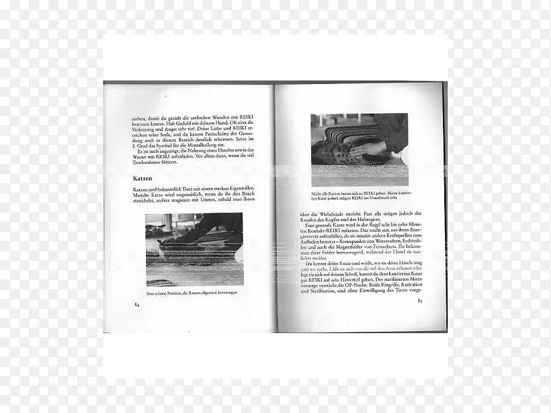 Ʒ�ư�ɫ�������-������