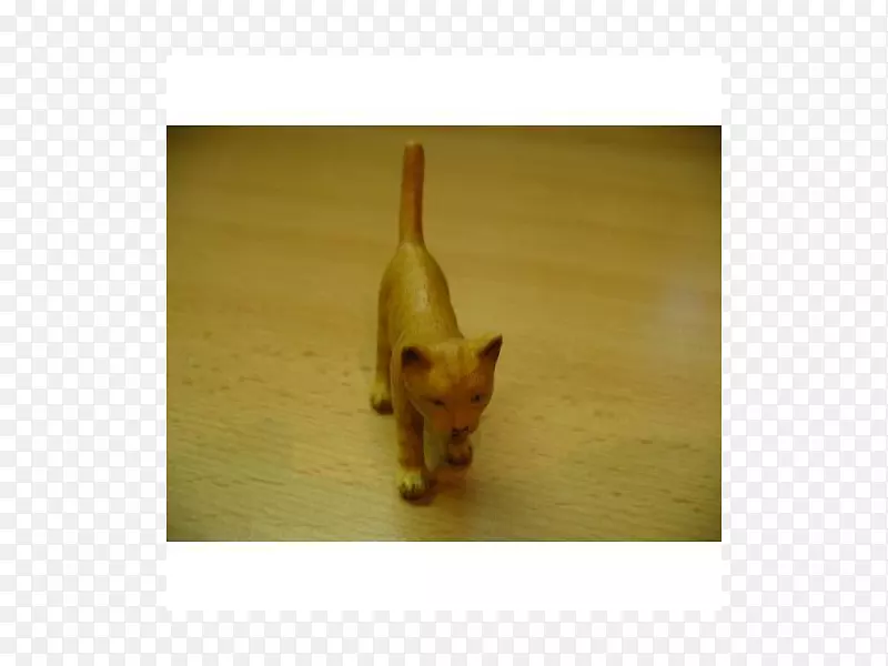 ����С������-С��-������