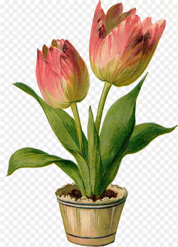 ���������������-������