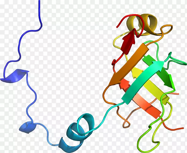 �ߵ������������-������