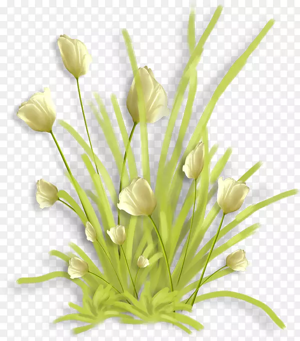 ��������л���԰õ��-����-������