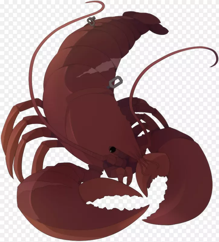 �ߴ�ŵ�����;޴����ɫ����-�-������