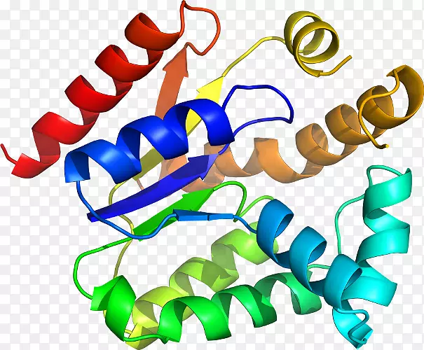 �����鱦���л����������-������