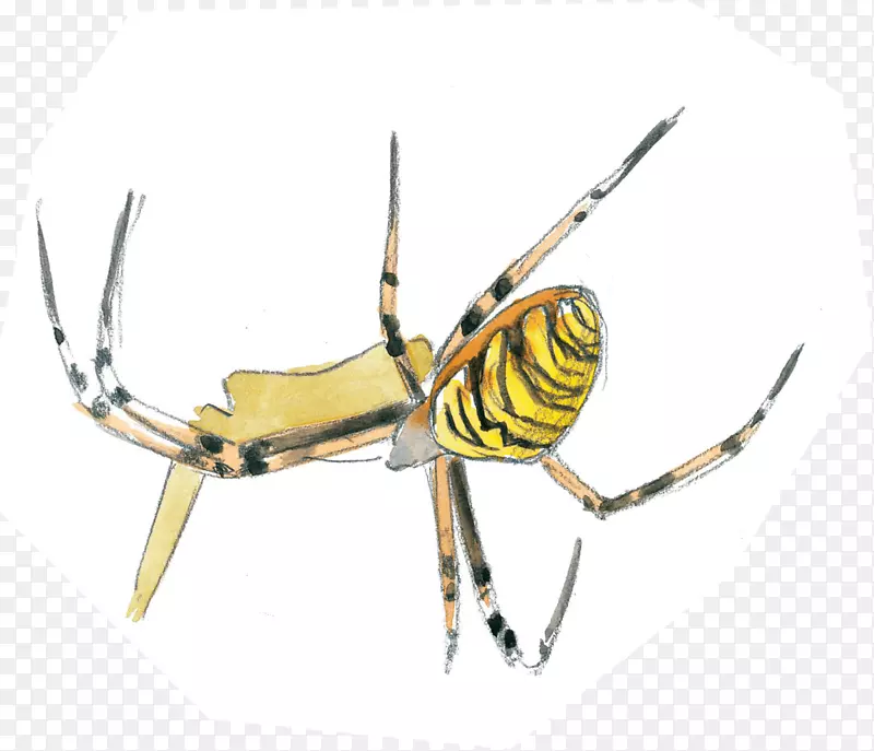 ���溦������Ĥ-����-������