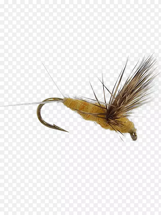 �����˹�Ӭ-������