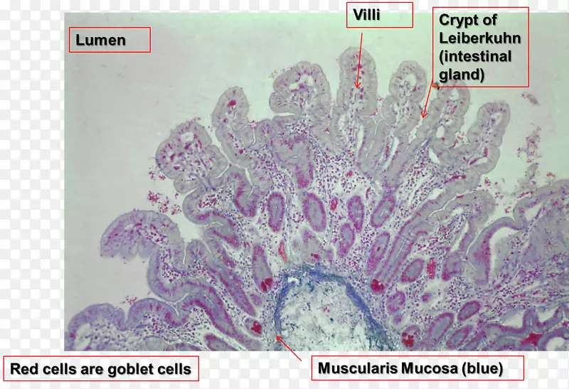 ������-��-������