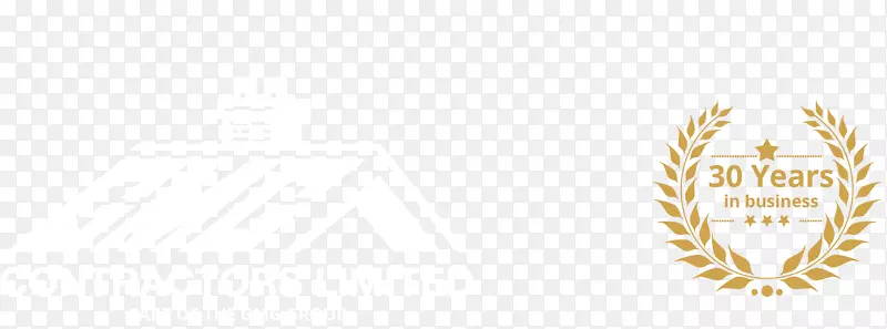 �̱������ֽ�����������-������