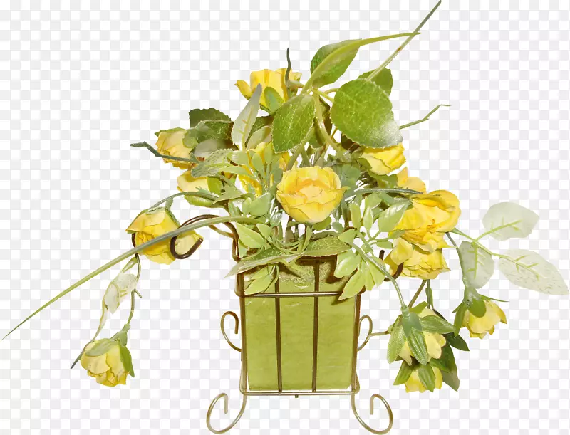 ��ƿ-��ͨ����-������