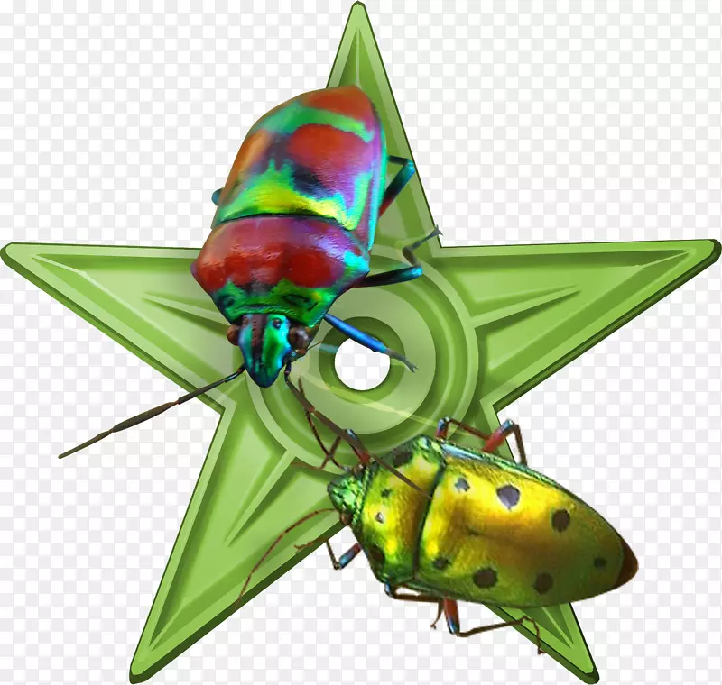 ����-������