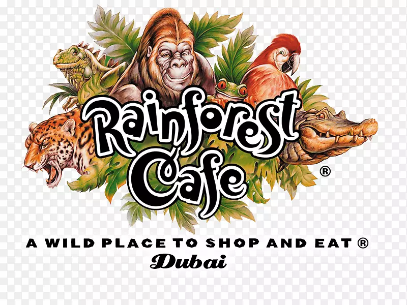 �ȴ����ֿ��ȹݵϰݲ�������������ѷ����-������