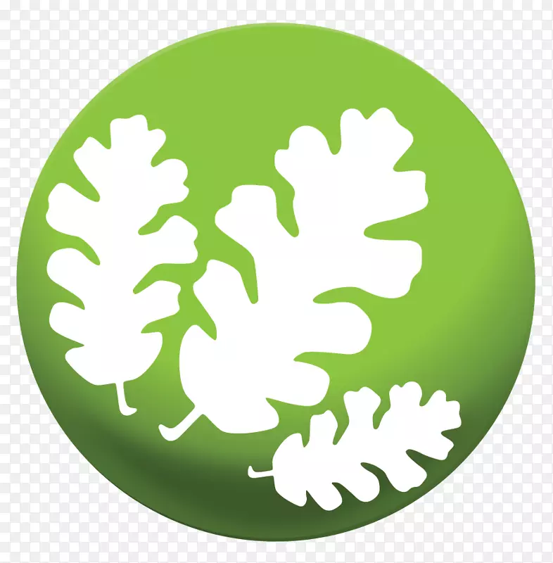 �������ڷ����ս��ڼƻ�ҵ��-���ڽ�-������